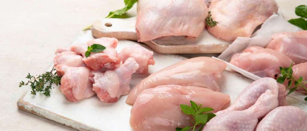 Mengenal Ayam Probiotik dan Kandungan&nbsp;Gizinya