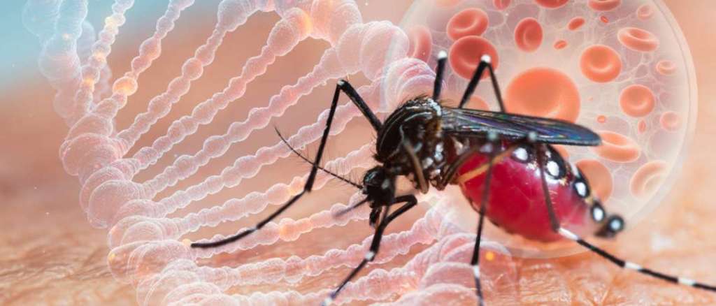 Jawa Barat Catat Kasus DBD Tertinggi, Perlu Upaya Pencegahan Lebih Masif